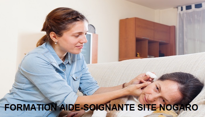 FORMATION PREPARANT AU DIPLOME ET A L'EXERCICE DE LA PROFESSION D'AIDE-SOIGNANT